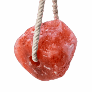 Lizawka himalajska cylindryczna 5-5,5 kg